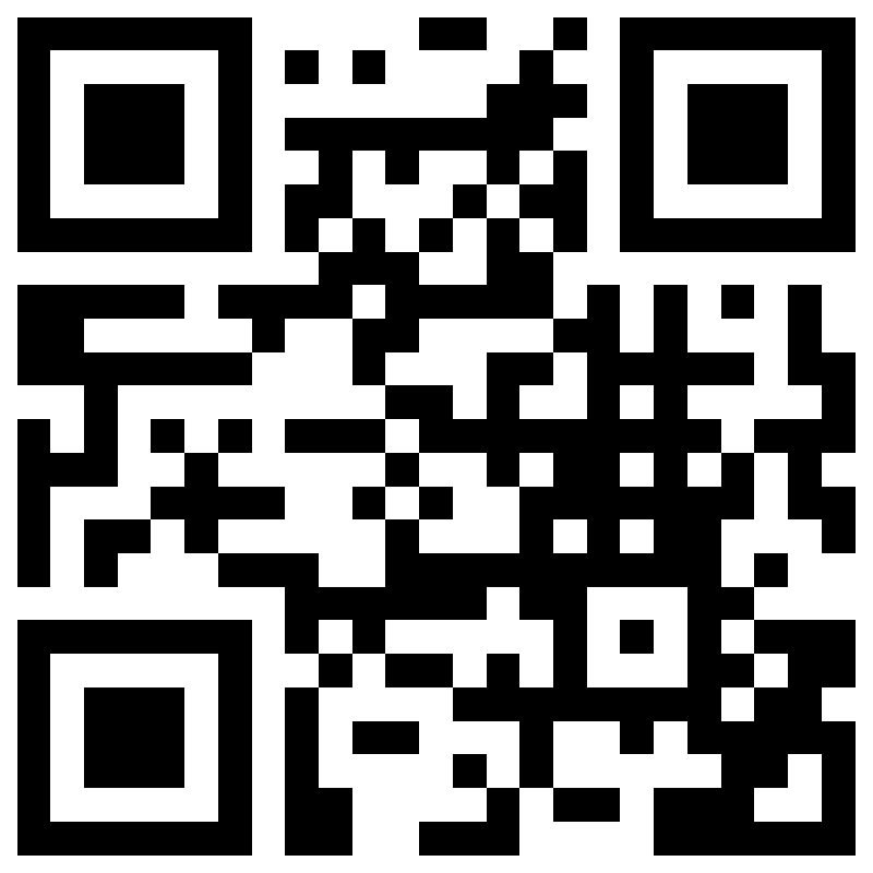 QR code vers paradisepices.com
